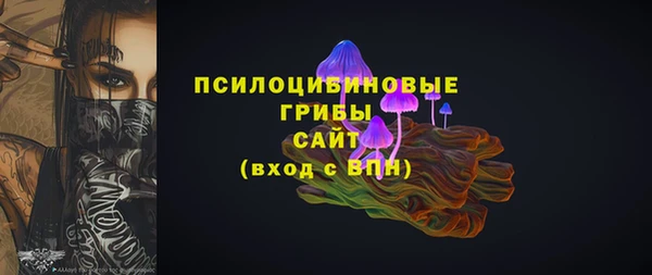 PSILOCYBIN Беломорск