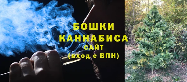 PSILOCYBIN Беломорск